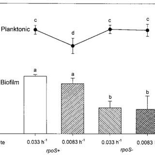 Sclm Micrographs Of E Coli Biofilms Stained With Live Dead Viabil Ity