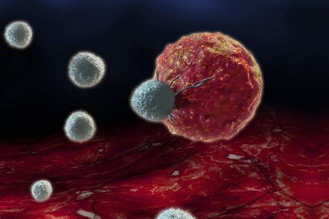 Cancer Immunology Conferences Tumor Meetings Neoplasm Symposiums