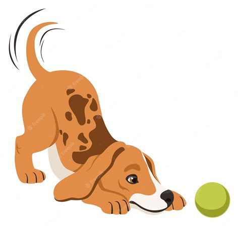 Premium Vector Funny Puppy Playing With Ball Cartoon Beagle Dog