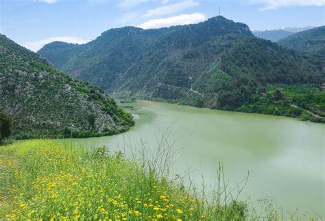 Revealing Spring in Full Bloom in Lebanon - Lebanon Traveler