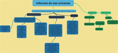 Portafolio Electronico Ginecologia Infeccion De Vias Urinarias