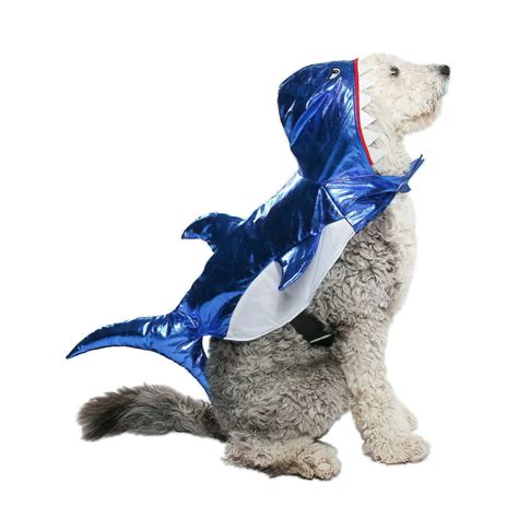 Cat In Shark Costume