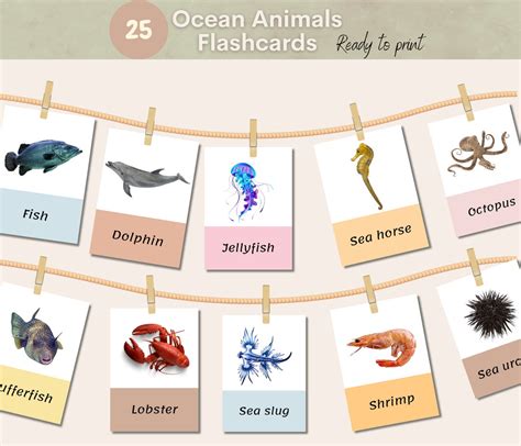 Ocean Animals Flashcards, Preschool Learning Cards, Homeschool ...