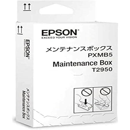 Amazon Epson Ink Maintenance Box For Workforce WF 100 Office