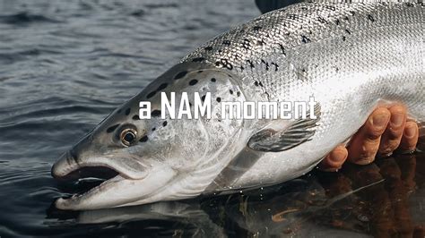 A Nam Moment Baltic Salmon Youtube