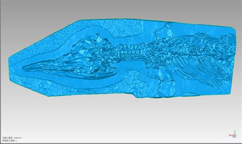 3D Digitization of Fossils: Prehistoric Dinosaurs Meet Face-to-face ...