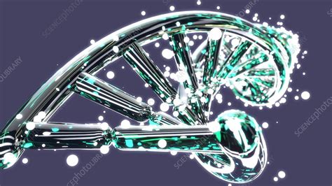 DNA molecule, animation - Stock Video Clip - K012/7608 - Science Photo ...