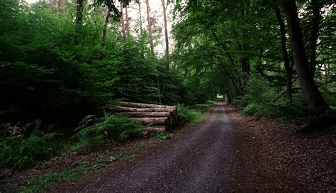 Hiking In Delaware Best Walking Trails In The State