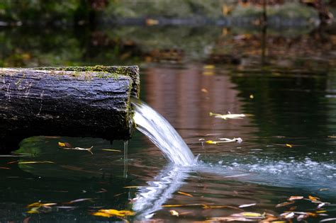 Brunnen Trinkbrunnen Baumstamm Kostenloses Foto Auf Pixabay Pixabay