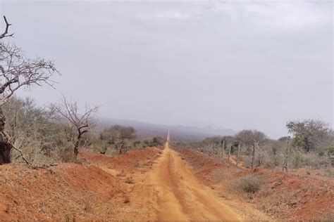 Malindi Jours Tsavo Est Collines Taita Lodge Saltlick Au D Part