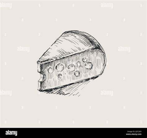 Piece Of Cheese Hand Drawn Vector Illustration Cheese Hand Drawn Vector