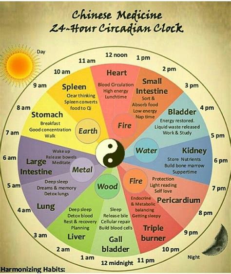 Pin On L O V E Chinese Body Clock Body Clock Chinese Medicine