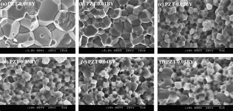 SEM Images Of Fracture Surface Of PZTBY X 0x0 05 System Sintered