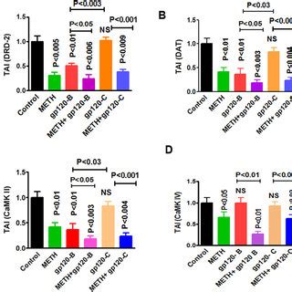 The Effect Of Hiv Clade B And C Gp Proteins And Meth Impact