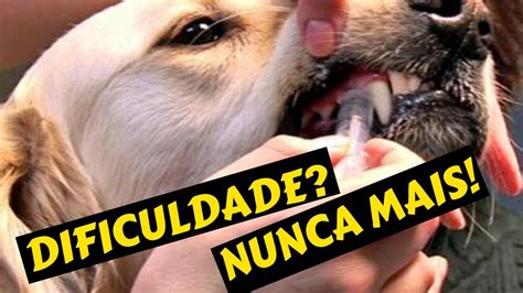 Como dar remédio para cachorros Comprimido e Liquida quando eles não