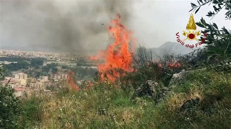 Palermo Incendi Oltre Interventi Dei Vigili Del Fuoco