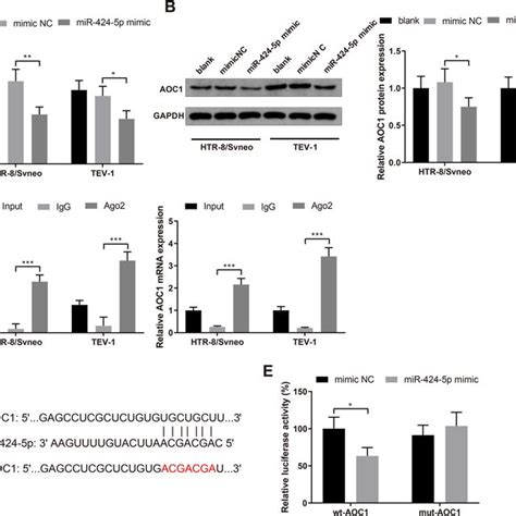 Aoc Is A Target Gene Of Mir P Note After Htr Svneo And Tev