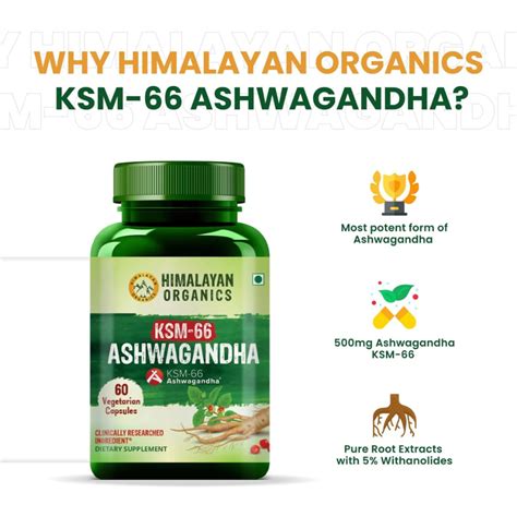 Ksm 66 Ashwagandha 500mg 60 Vegetarian Capsules Green Health Organics