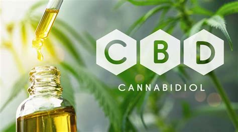 What Is Cbd Getting To Know Cannabidiol Keoni Cbd