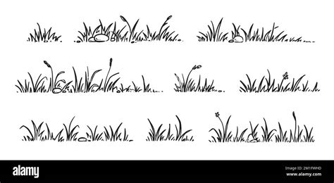 Grass Doodle Sketch Style Set Hand Drawn Grass Field Outline Scribble Background Sprout