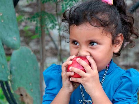 Hambre en México situación actual y causas Cáritas de Monterrey