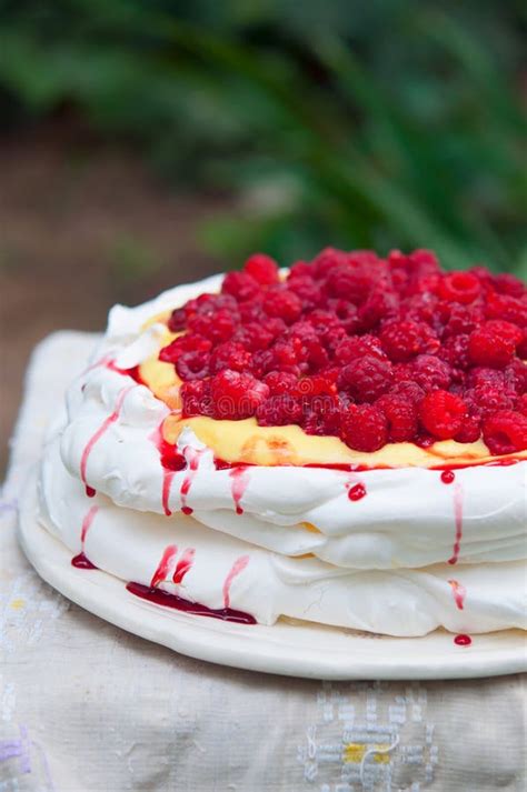 Pavlova Varvade Kakan Med Choklad Och Kakao Arkivfoto Bild Av Gourmet