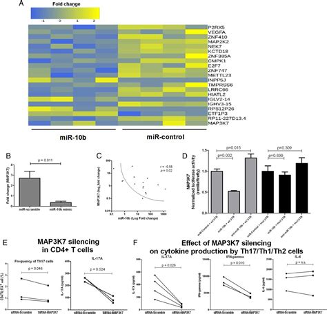 Mir 10b 5p Is A Novel Th17 Regulator Present In Th17 Cells From