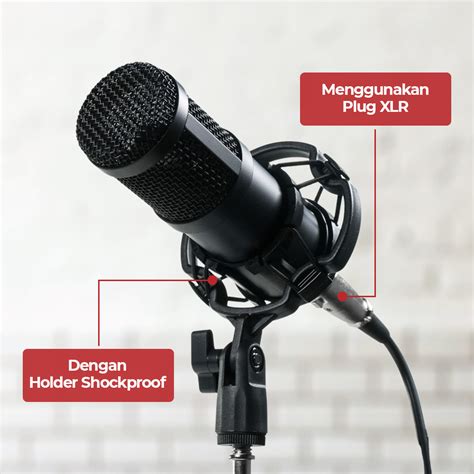 Taffstudio Mikrofon Kondenser Studio Mic Xlr With Shockproof Mount Bm