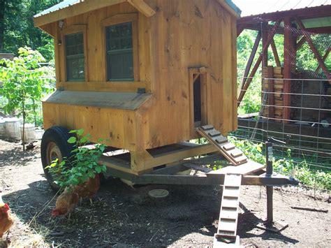 4 Acres And A Stream Moving The Animals And The Hoop House