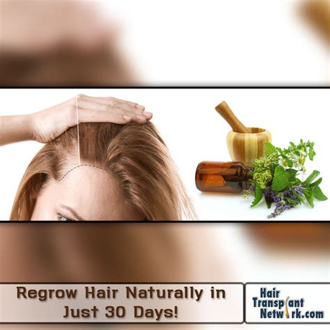 How To Regrow Hair Naturally Is Regrow Hair Naturally In Just 30 Days