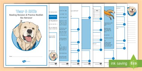 Year 6 SATs Survival Rex Retriever Reading Revision Practice Booklet