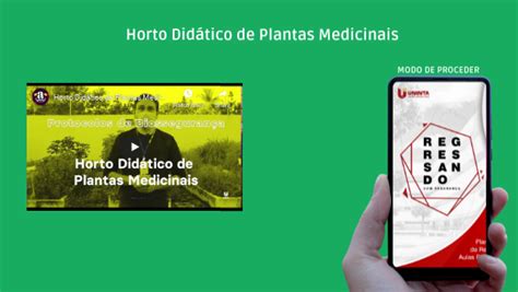 HORTO DIDÁTICA DE PLANTAS MEDICINAIS