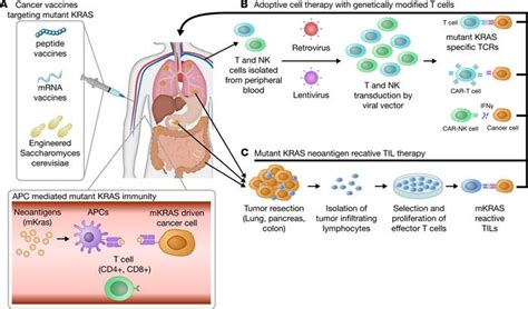 JCI Insight Targeting The Undruggable Oncogenic KRAS The Dawn Of Hope