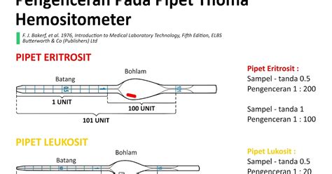 Belajar Pengenceran Pipet Thoma Hemocytometer Online Text Book ATLM