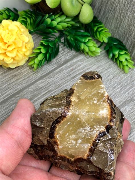 Septarian Natural Raw Stone The Dragon Yellow Septarian Stone Etsy