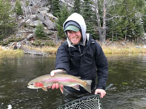 Guided Wade Fly Fishing In Southwest Montana And Yellowstone National