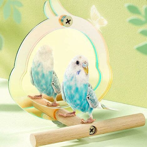 Perchoir Oiseaux Cage Miroir Jouets Avec Perchoir En Bois Jouets De