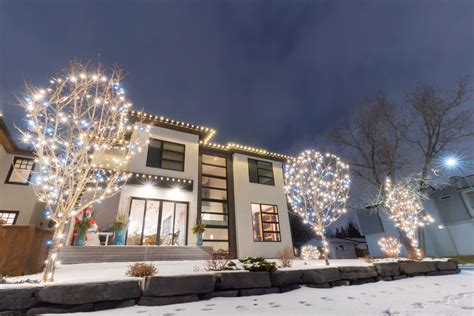 6 Creative Ways To Decorate Your Outdoor Trees This Christmas Big