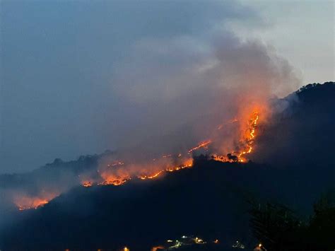 Registran Incendio Forestal En Valle De Bravo Ivital