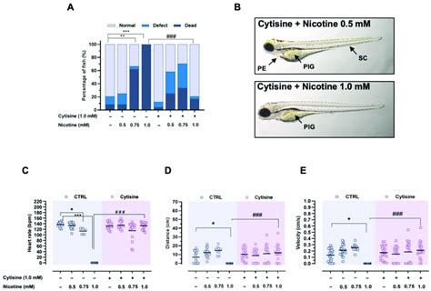 Protective assessment of cytisine against nicotine-induced toxicity ...