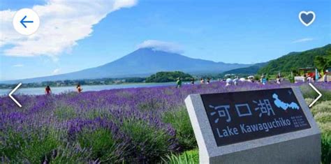 Tokyo Excursion d une journée au Mont Fuji au lac Kawaguchi et à