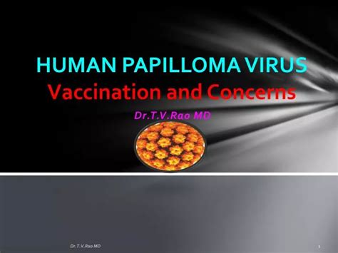 Ppt Human Papilloma Virus Powerpoint Presentation Free Download Id103065