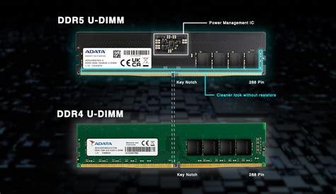 DDR5-4800 U-DIMM DARM Memory Module | ADATA (United States)