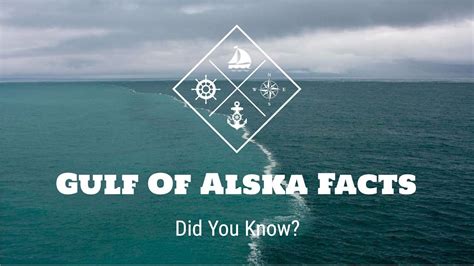 Gulf of Alaska where two oceans meet | Two seas meet | DidYouKnow - YouTube