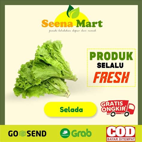 Jual Selada Segar Selada Hijau Sayur Sayuran Segar Selada Air Fresh