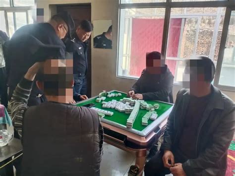 【一线警务】丹麻派出所快速查处一起赌博案件，5人被行政处罚澎湃号·政务澎湃新闻 The Paper