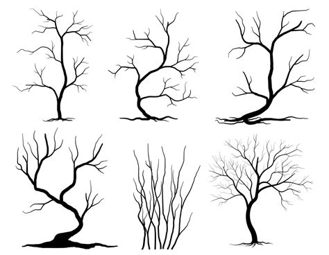 Black Branch Tree Or Naked Trees Silhouettes Set Hand Drawn Isolated