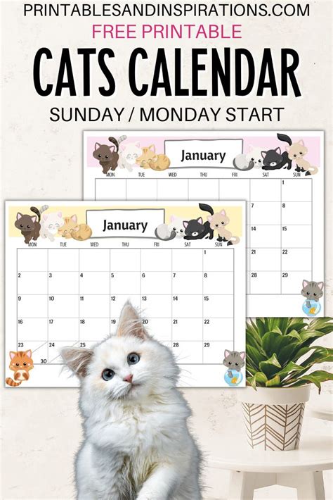 2023 Cute Cats Free Printable Monthly Calendar Printables And