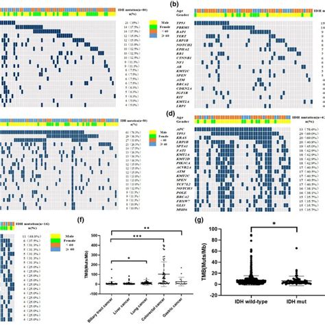 Top Significantly Mutated Genes In Idh Mutated Patients Of