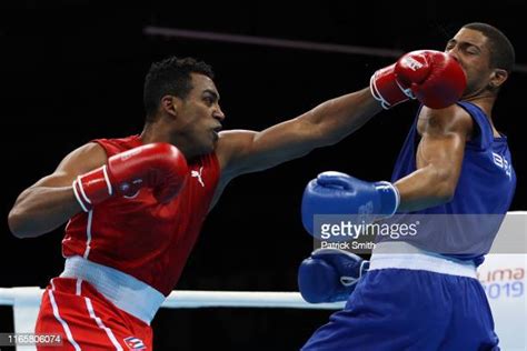 Boxer Cross Photos And Premium High Res Pictures Getty Images